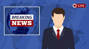 🤖 What’s What❓‼️